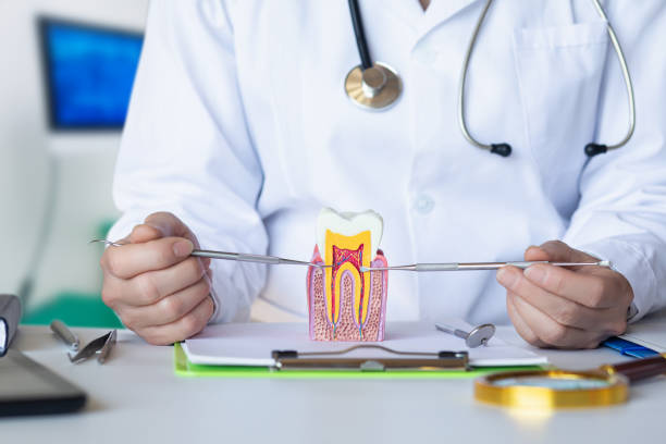 Best Dental Abscess Treatment in Constantine, MI